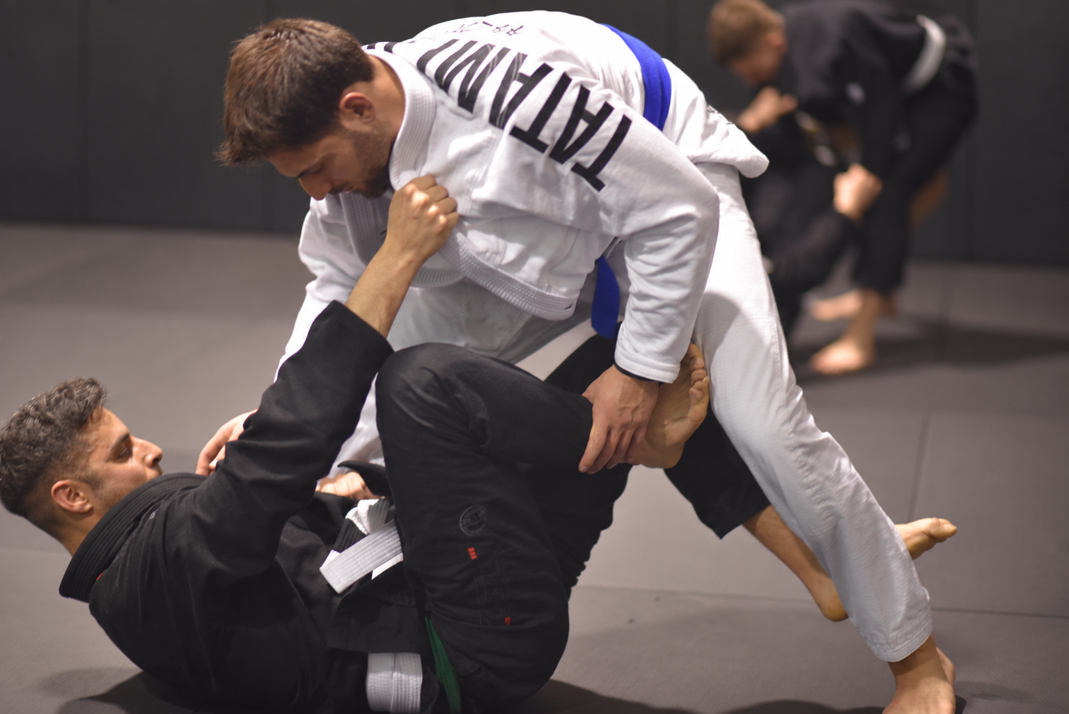 Allenamento di Brazilian Jiu-Jitsu con kimono, foto 1